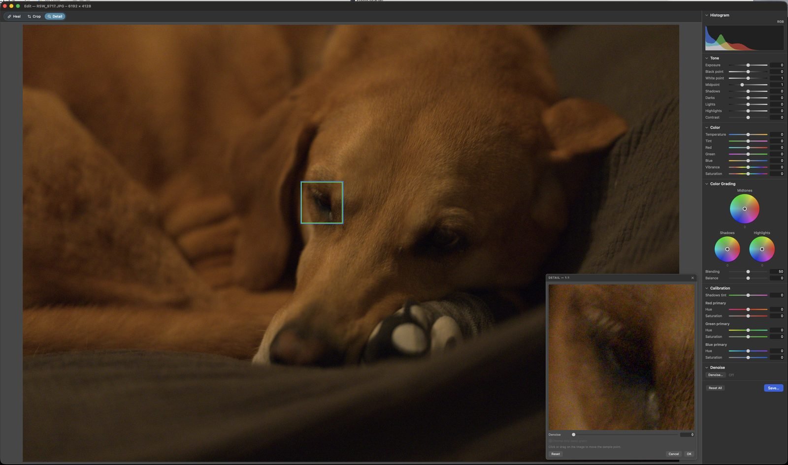 PhotoLibrarian's floating editor showing AI denoise with a 1:1 detail loupe over a photograph, alongside tone and color controls
