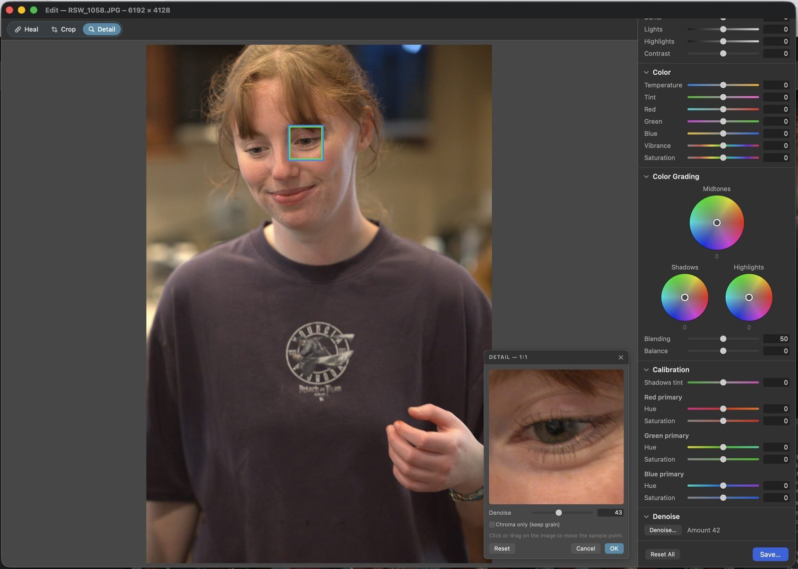 PhotoLibrarian's built-in editor: healing brush, crop, and detail tools, tone and color controls, color grading wheels, calibration panel, and a 1:1 denoise loupe on a portrait